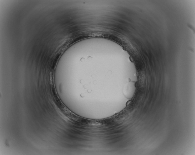 X0000097670598200803071556