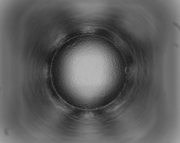 X0000097670600200803071556