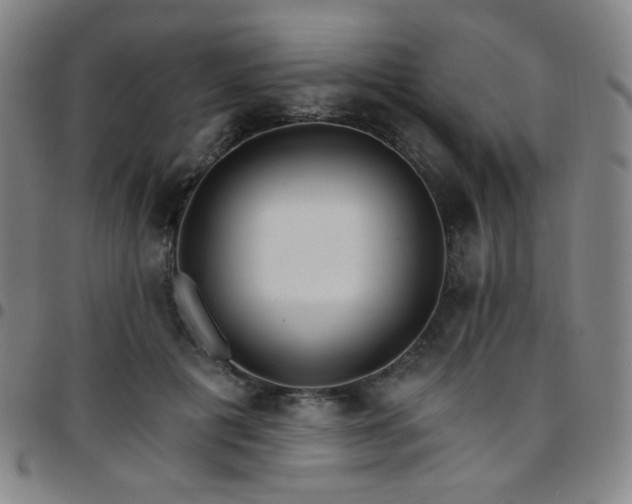 X0000097670601200803071556