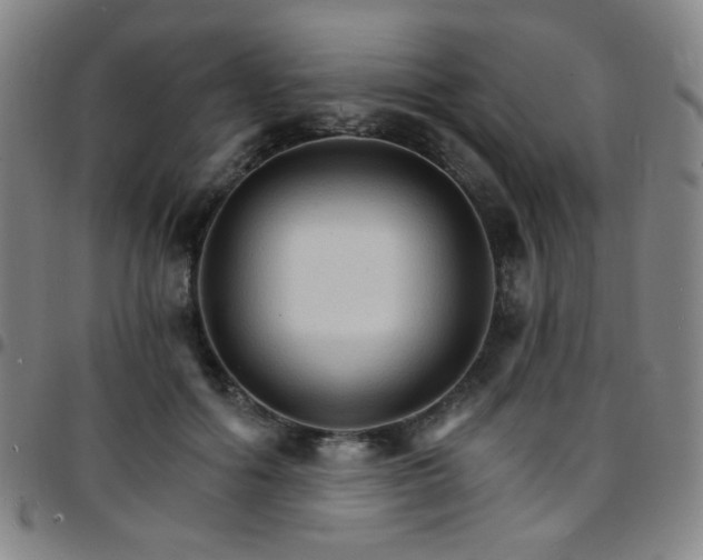 X0000097670602200803071556
