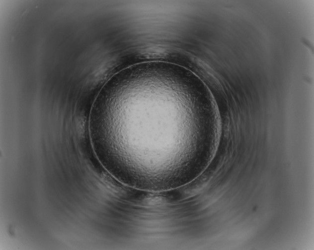 X0000097670604200803071556