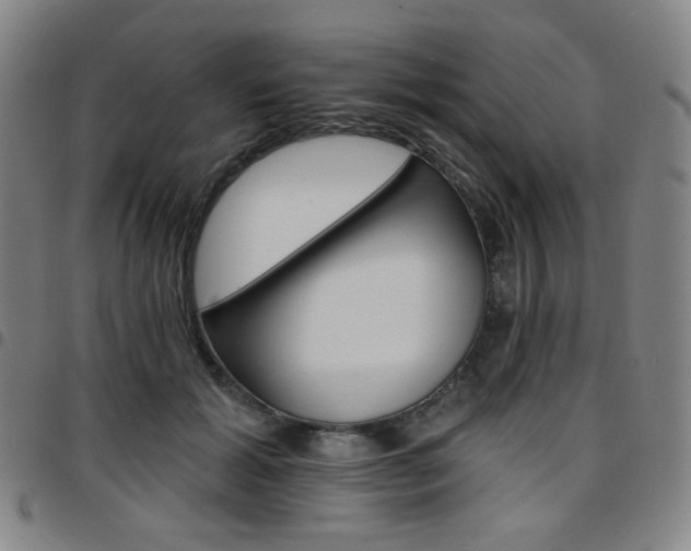 X0000097670605200803071556