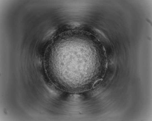 X0000097670607200803071556