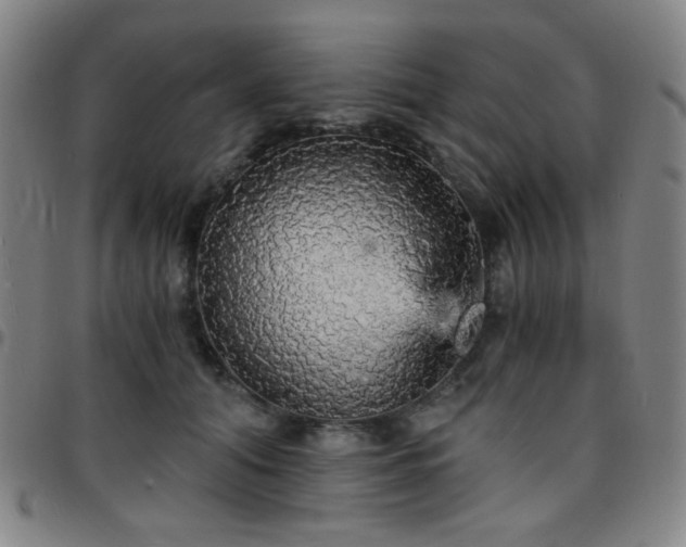 X0000097670608200803071556