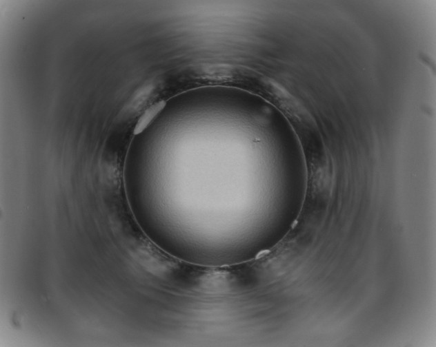 X0000097670609200803071556