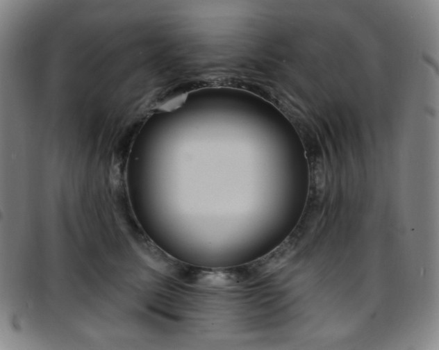 X0000097670611200803071556