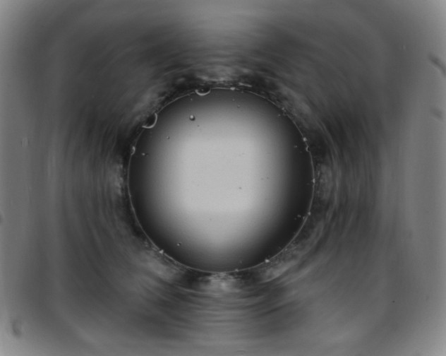 X0000097670612200803071556
