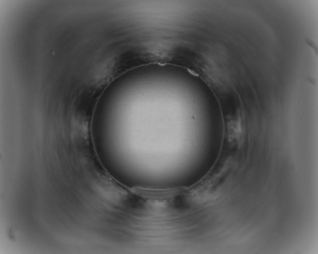 X0000097670613200803071556