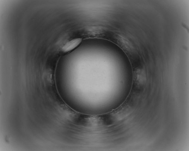 X0000097670615200803071556