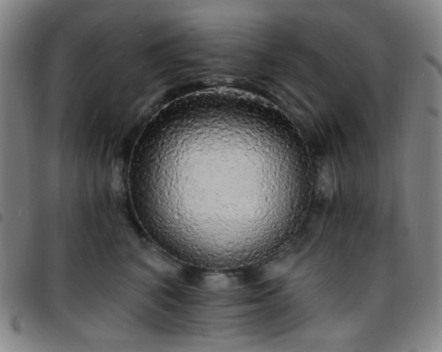 X0000097670616200803071556
