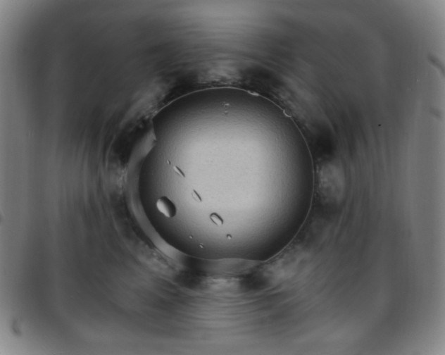X0000097670617200803071556