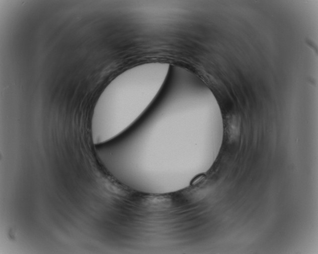 X0000097670619200803071556