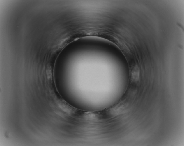 X0000097670620200803071556