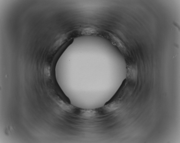 X0000097670621200803071556