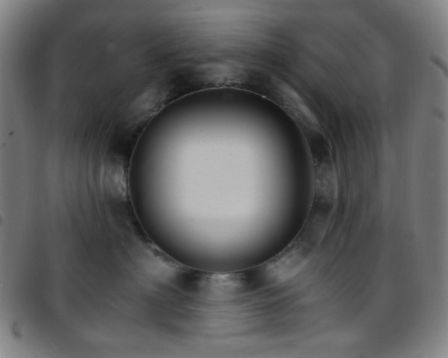 X0000097670622200803071556