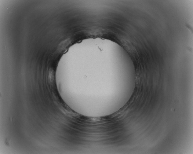 X0000097670623200803071556