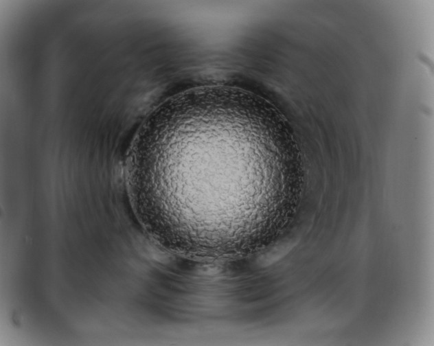 X0000097670624200803071556
