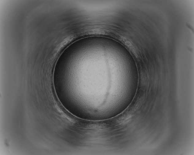 X0000097670625200803071555