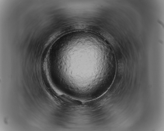X0000097670626200803071555