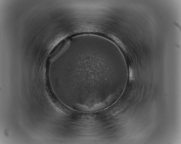 X0000097670627200803071555