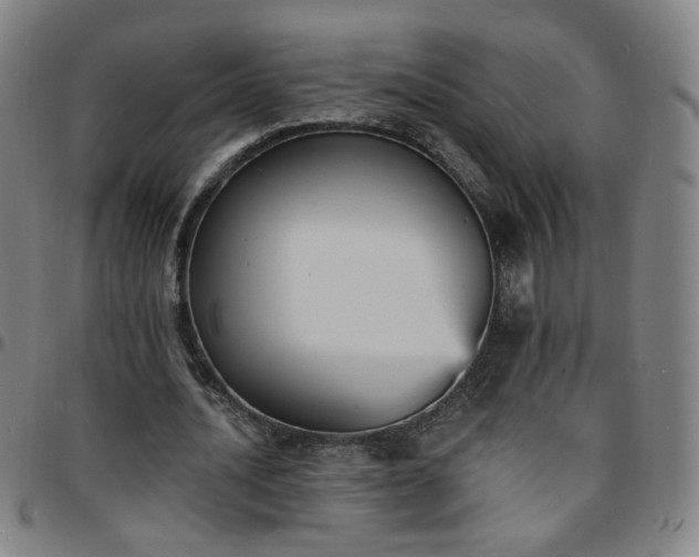 X0000097670628200803071555