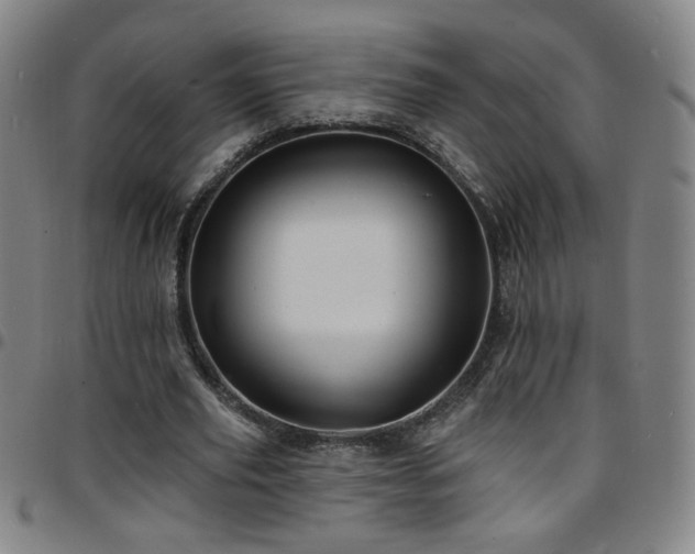 X0000097670629200803071555