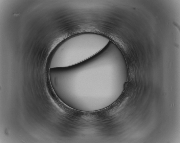 X0000097670630200803071555