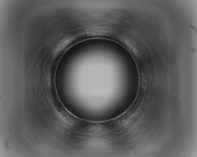 X0000097670631200803071555