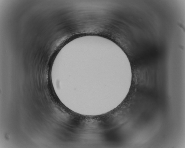 X0000097670632200803071556