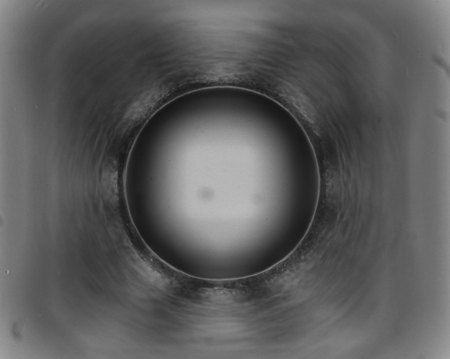 X0000097670633200803071556