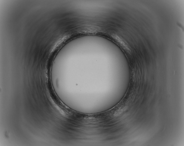 X0000097670634200803071556