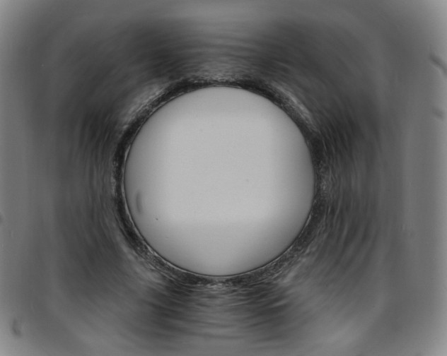 X0000097670635200803071556