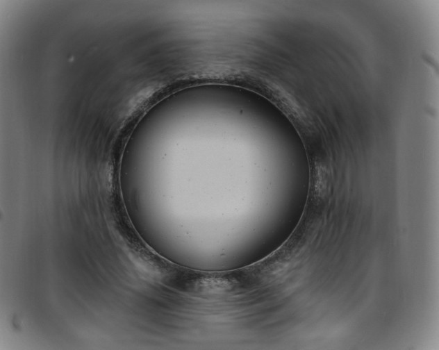 X0000097670636200803071556