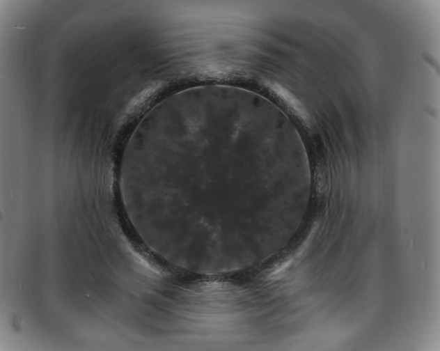 X0000097670637200803071556