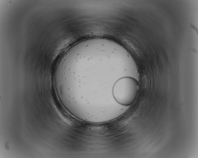 X0000097670638200803071556