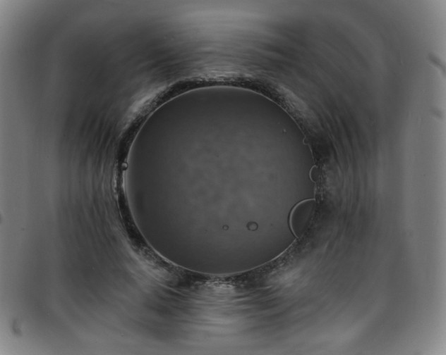 X0000097670640200803071556