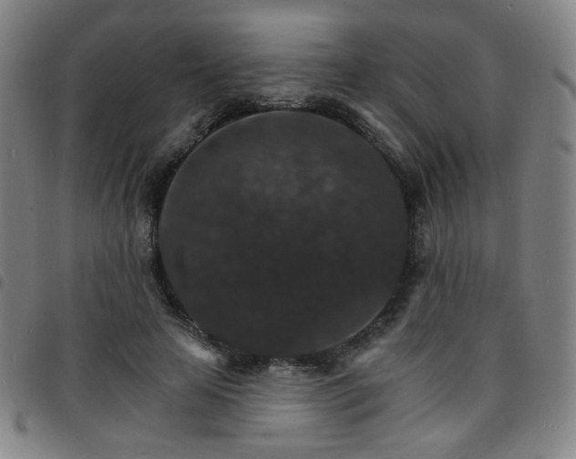X0000097670641200803071556