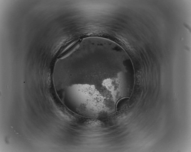 X0000097670642200803071556