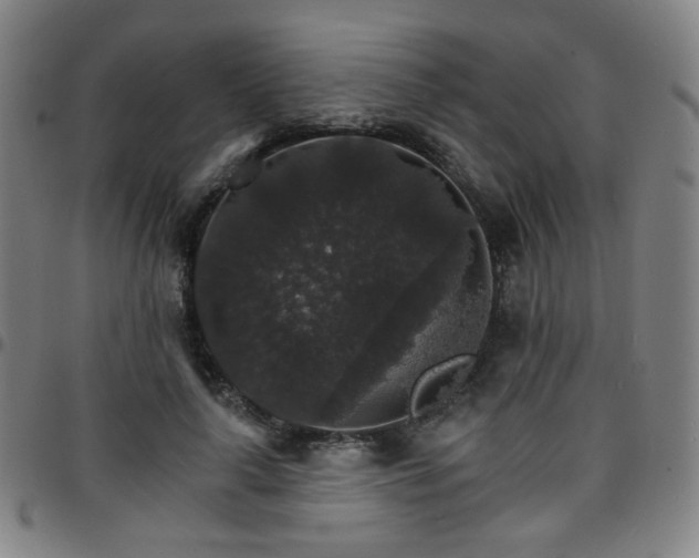 X0000097670643200803071556