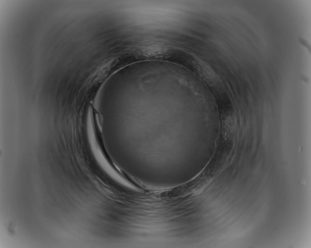 X0000097670644200803071556