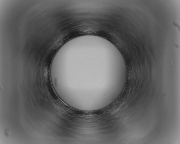 X0000097670646200803071556