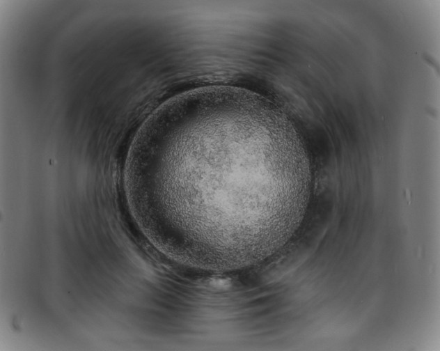 X0000097670647200803071556