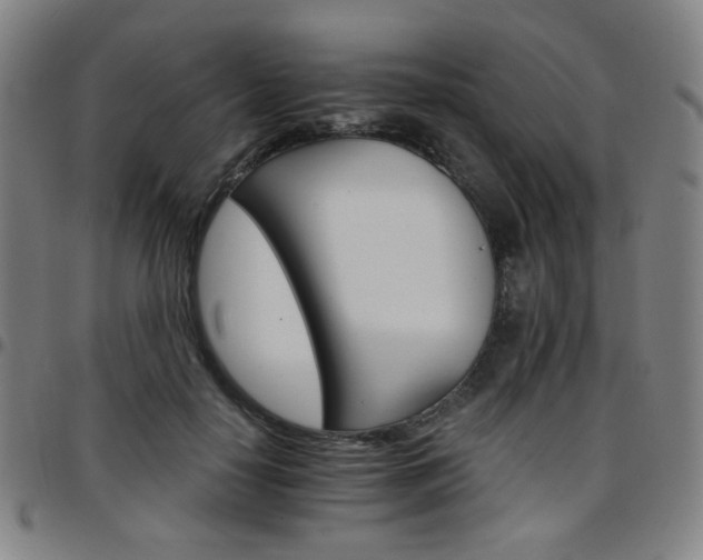 X0000097670650200803071556