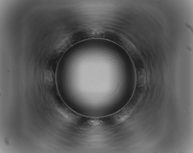 X0000097670654200803071556