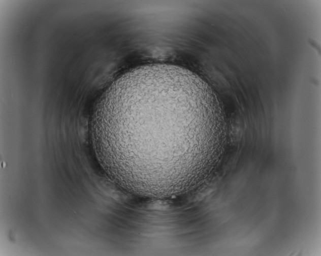 X0000097670656200803071556