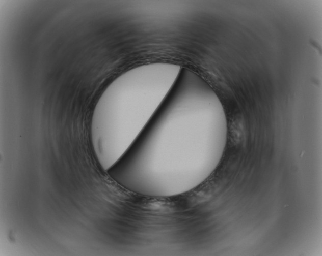 X0000097670657200803071556