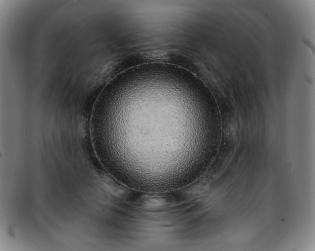X0000097670658200803071556