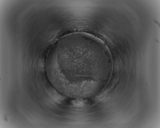 X0000097670661200803071556