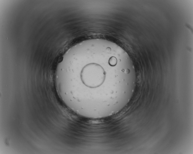 X0000097670662200803071556