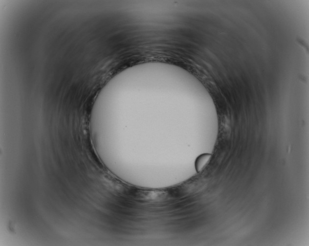 X0000097670663200803071556